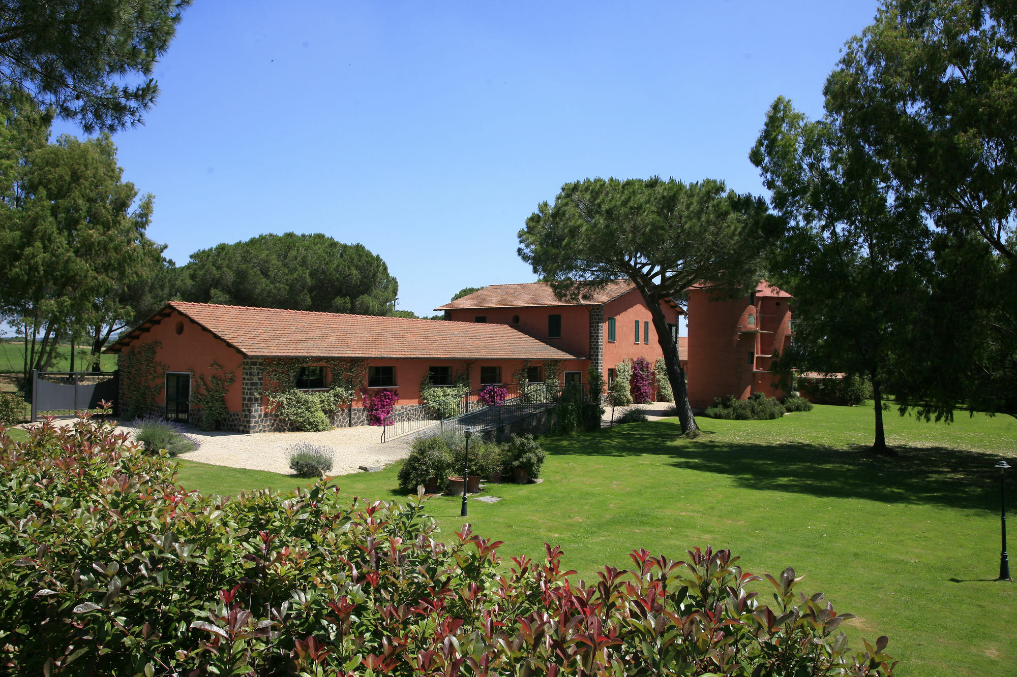 Riserva Dell'olmo * Rome